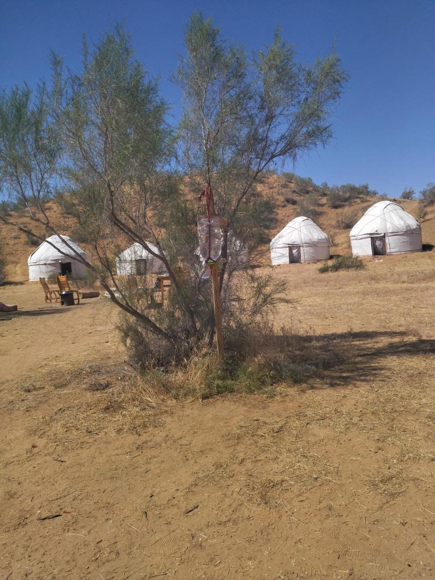Authentic Uzbek Yurt Camp Eco-Friendly Hotel Nurota ภายนอก รูปภาพ